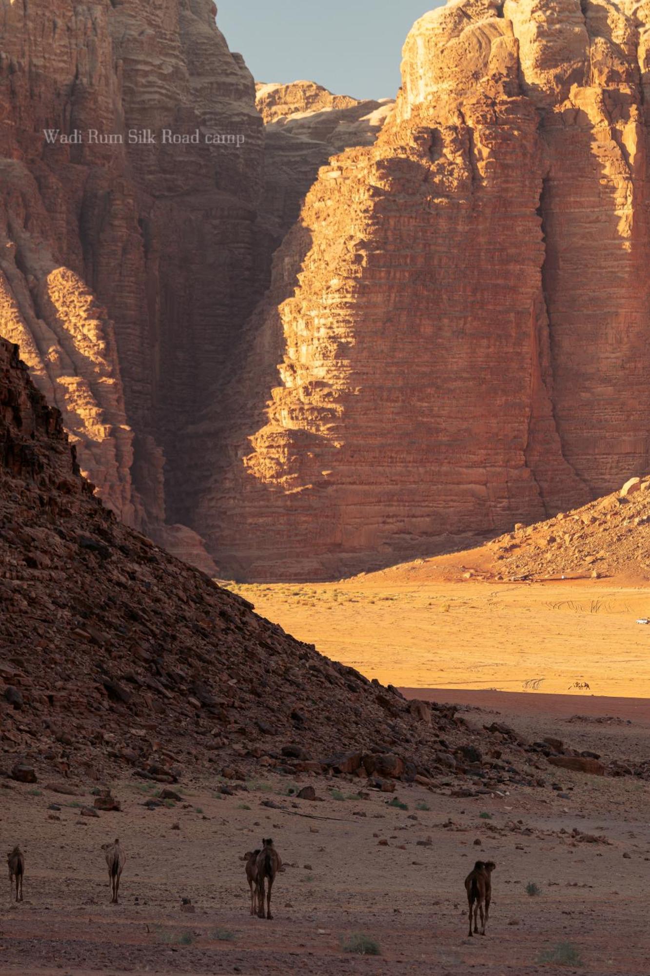Wadi Rum Silk Road Camp Exterior foto