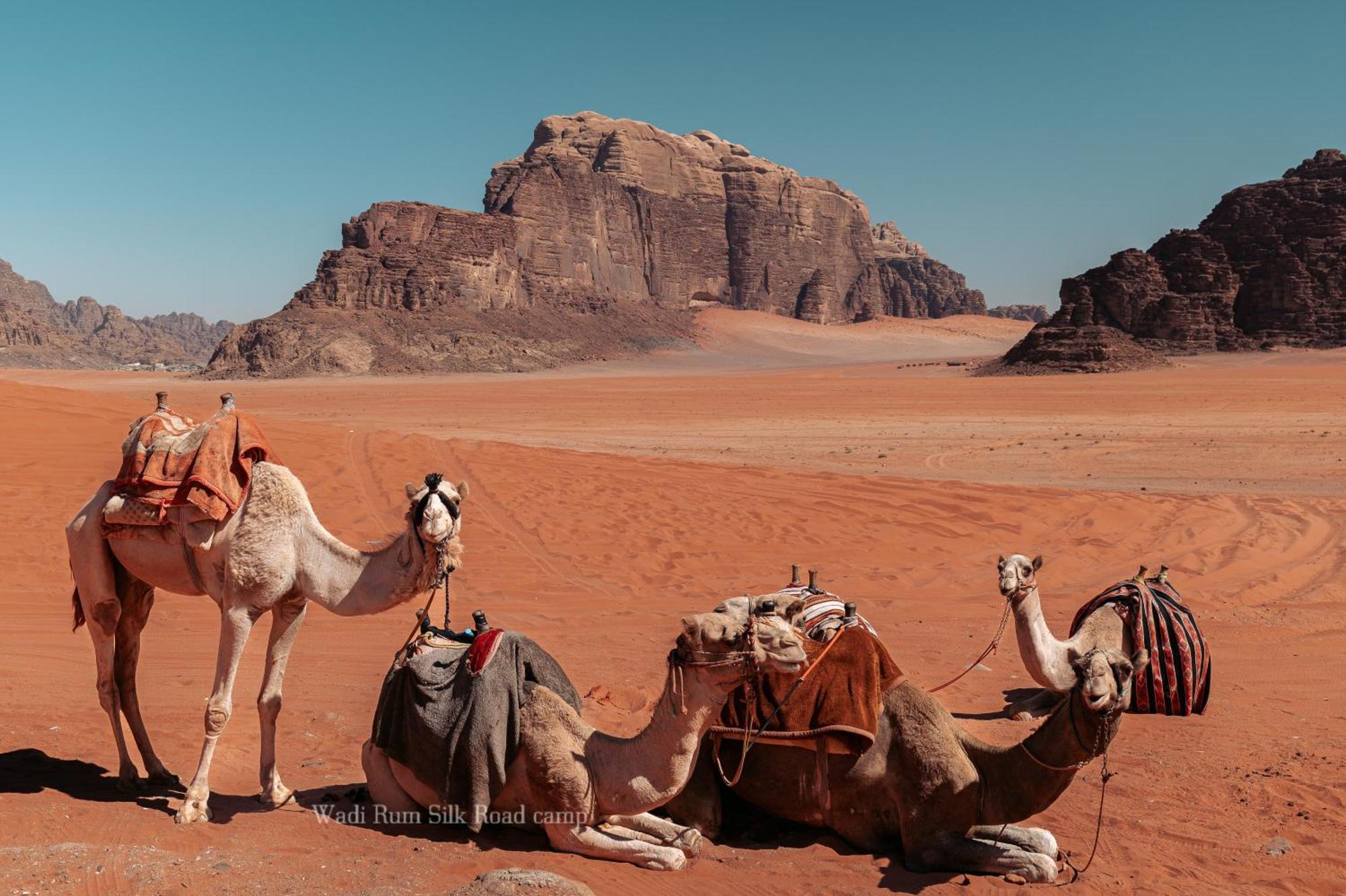 Wadi Rum Silk Road Camp Exterior foto