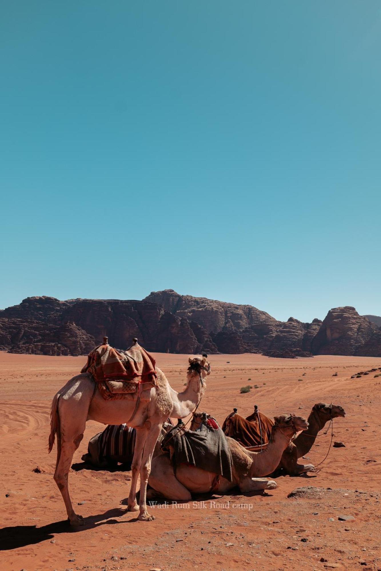 Wadi Rum Silk Road Camp Exterior foto